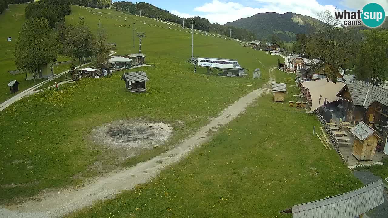 SKI Kranjska Gora webcam – Spiaggia – Piste Kekec e Mojca