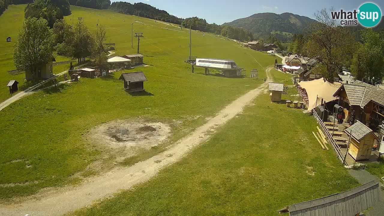 SKI Kranjska Gora webcam – Spiaggia – Piste Kekec e Mojca