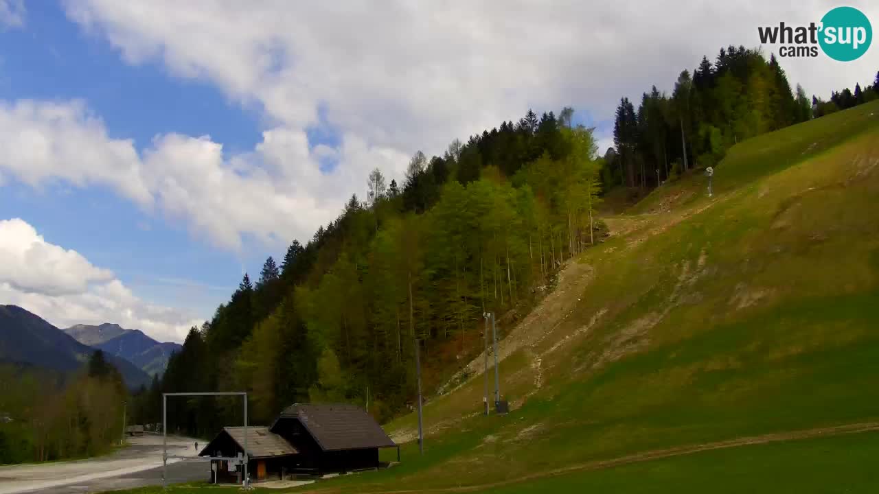 Spletna kamera Podkoren / Kranjska Gora – Poligon in ciljna strmina
