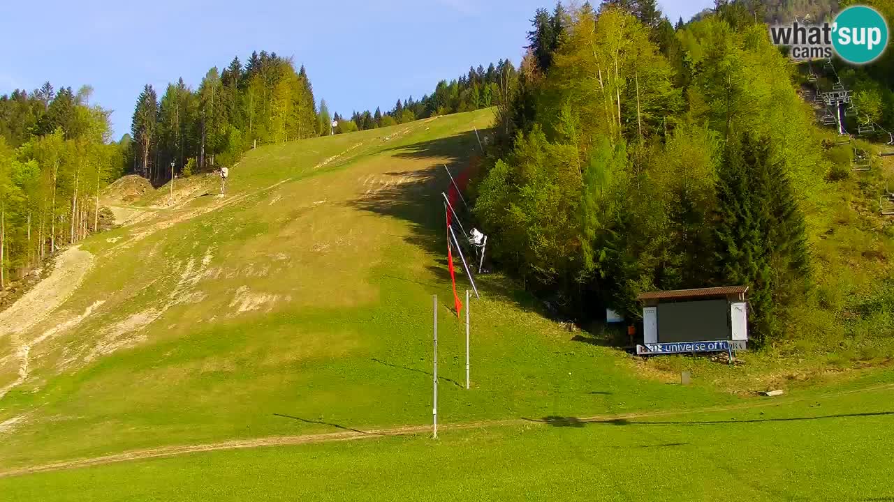 Podkoren – Kranjska Gora – Finish of Giant slalom