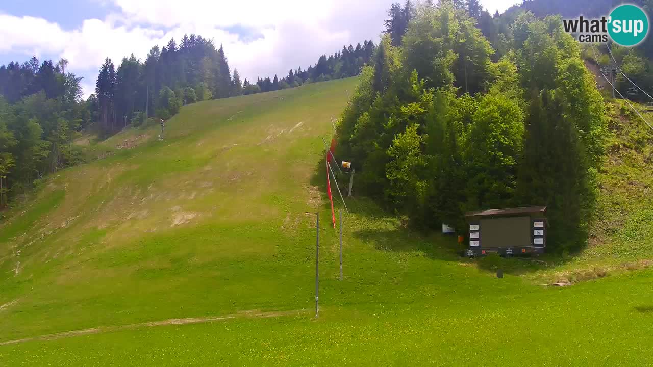 Spletna kamera Podkoren / Kranjska Gora – Poligon in ciljna strmina
