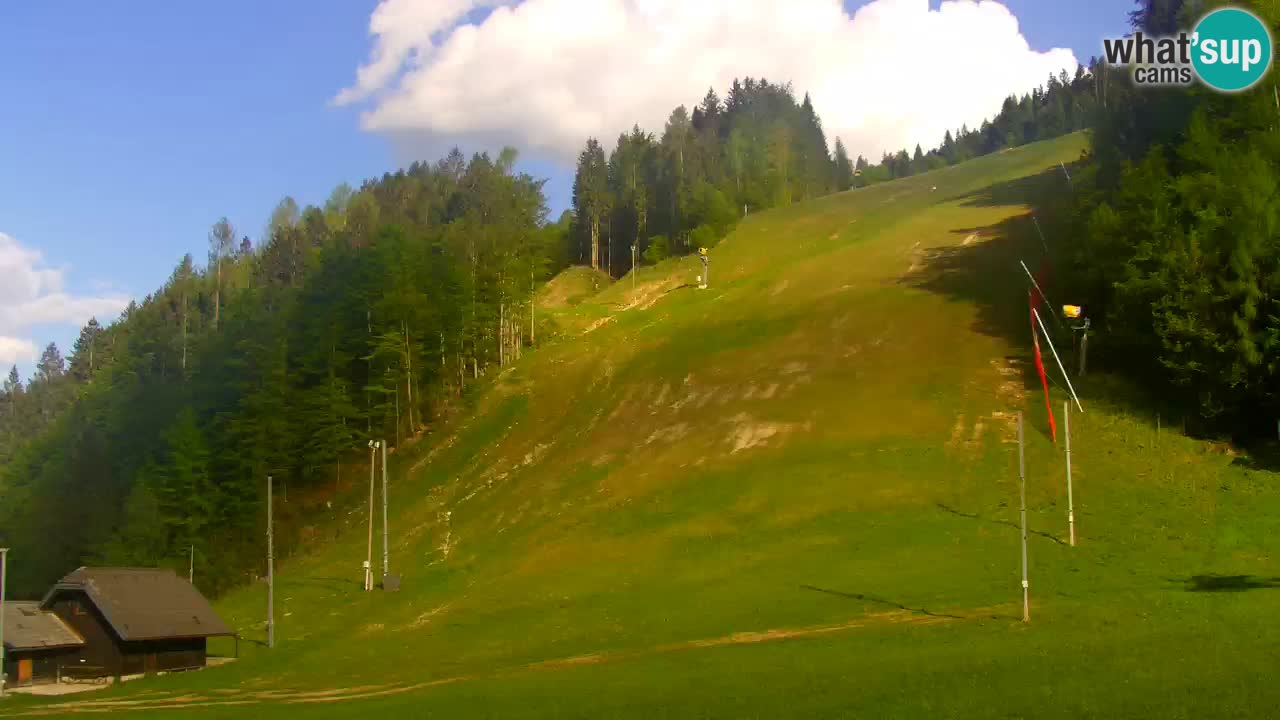 Podkoren / Kranjska Gora – Ziel Riesenslalom