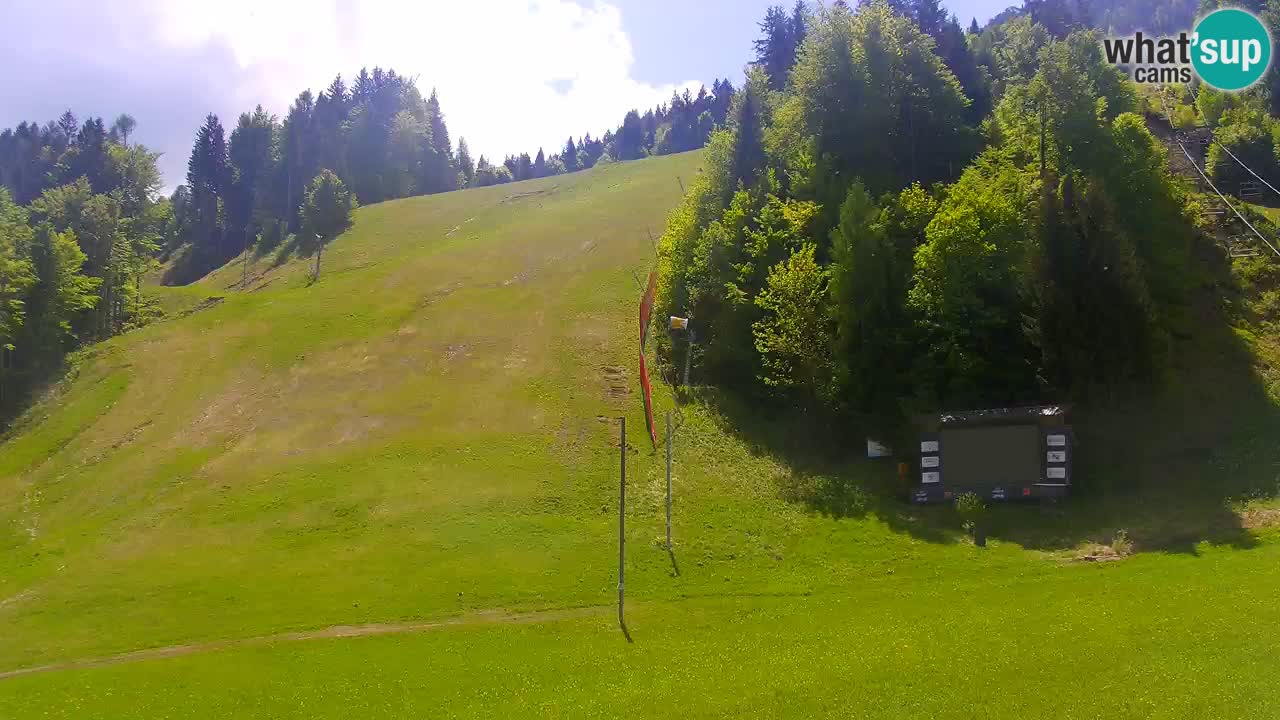 Podkoren / Kranjska Gora – Arrivo slalom gigante