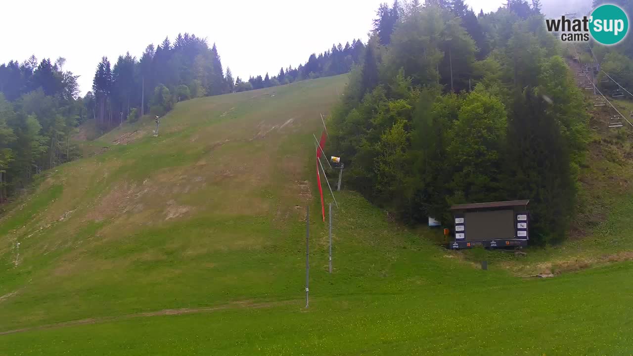 Podkoren – Kranjska Gora – Finish of Giant slalom