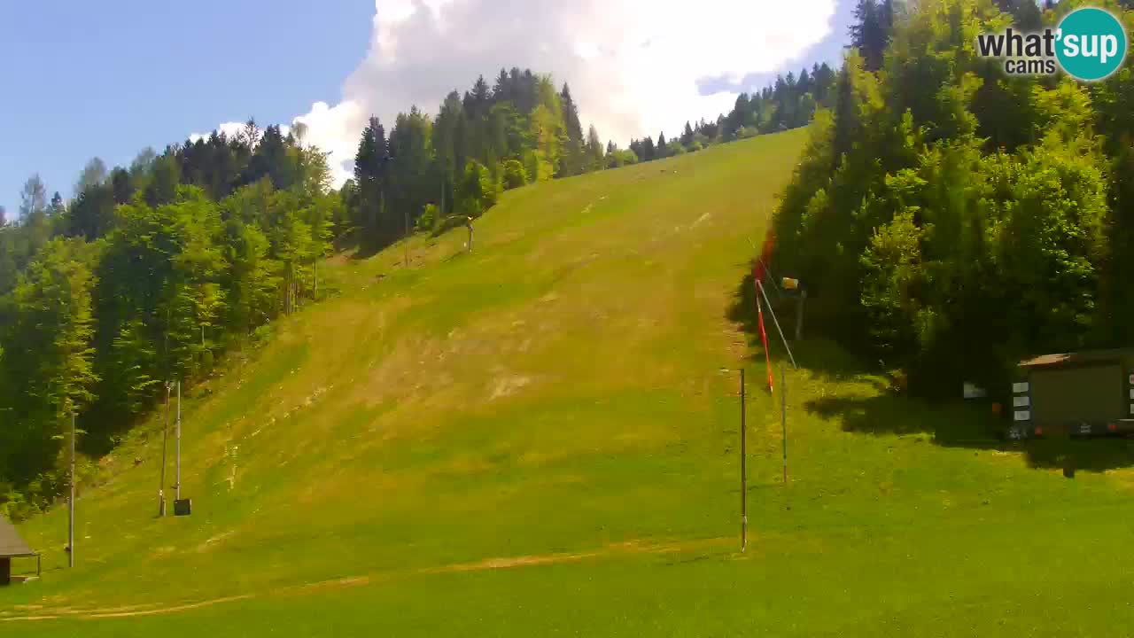 Podkoren / Kranjska Gora –  Meta Slalom gigante