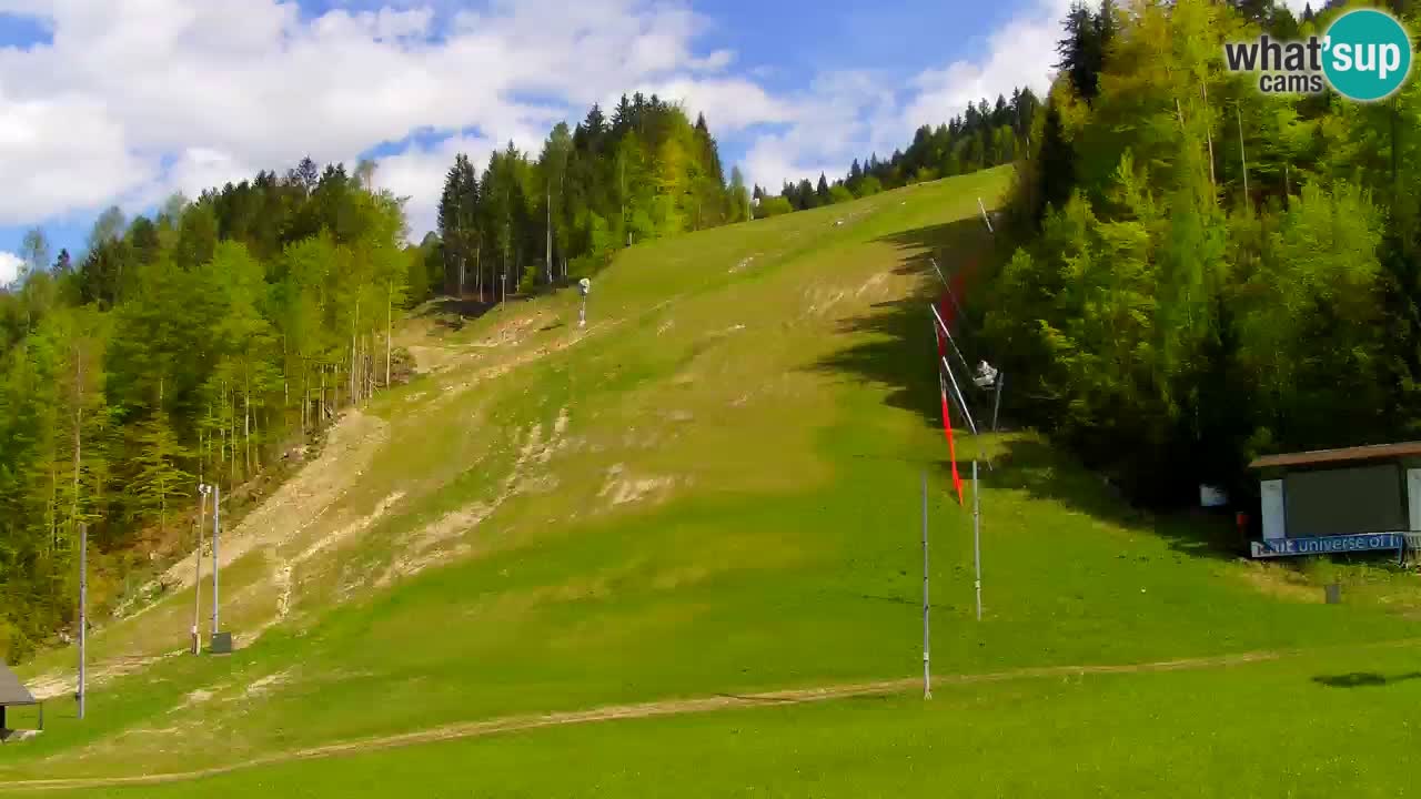 Podkoren – Start slalom géant