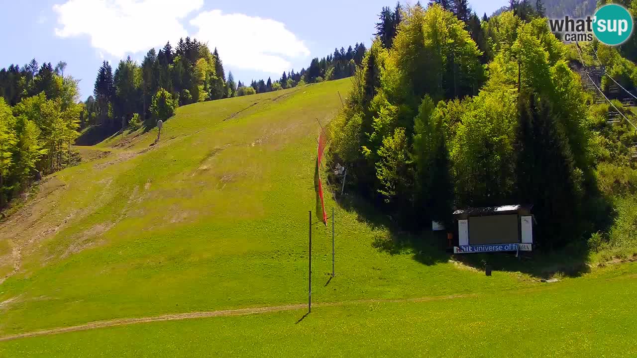 Podkoren Webcam Kranjska Gora | Finish of Giant slalom