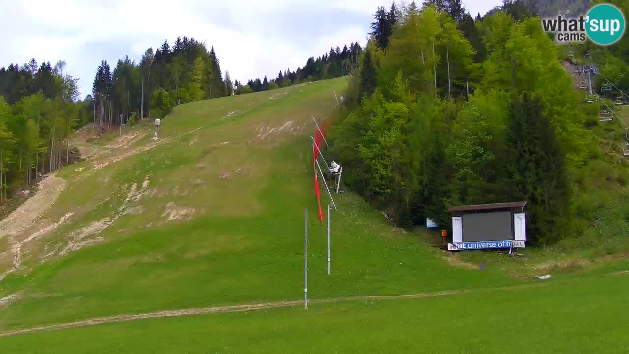 Podkoren – Start Slalom gigante