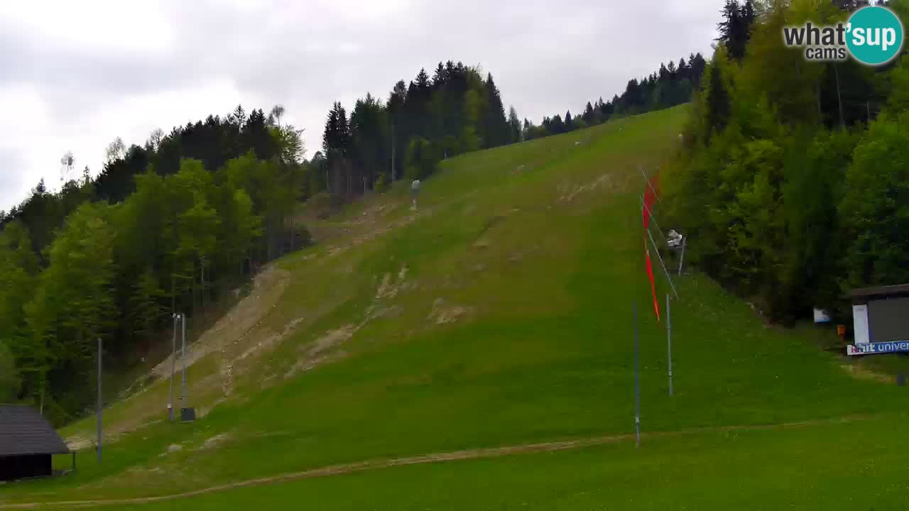 Podkoren – Start slalom géant