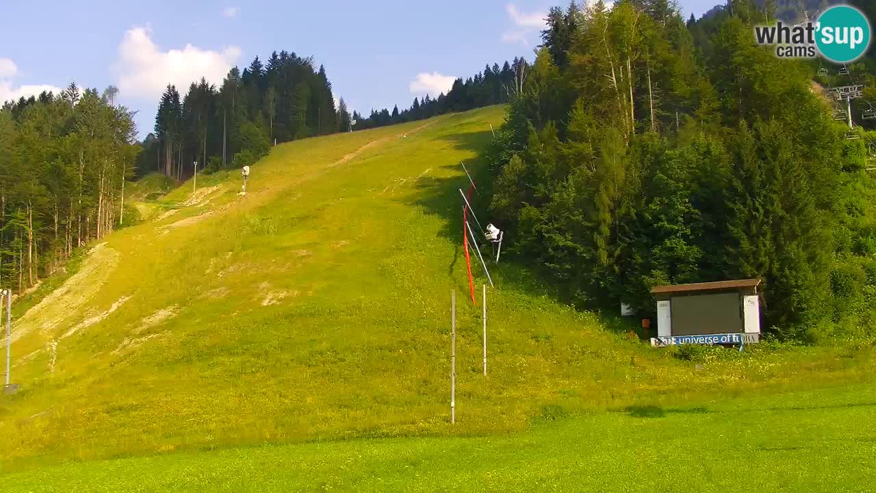 Podkoren – Partenza  slalom gigante – Kranjska Gora