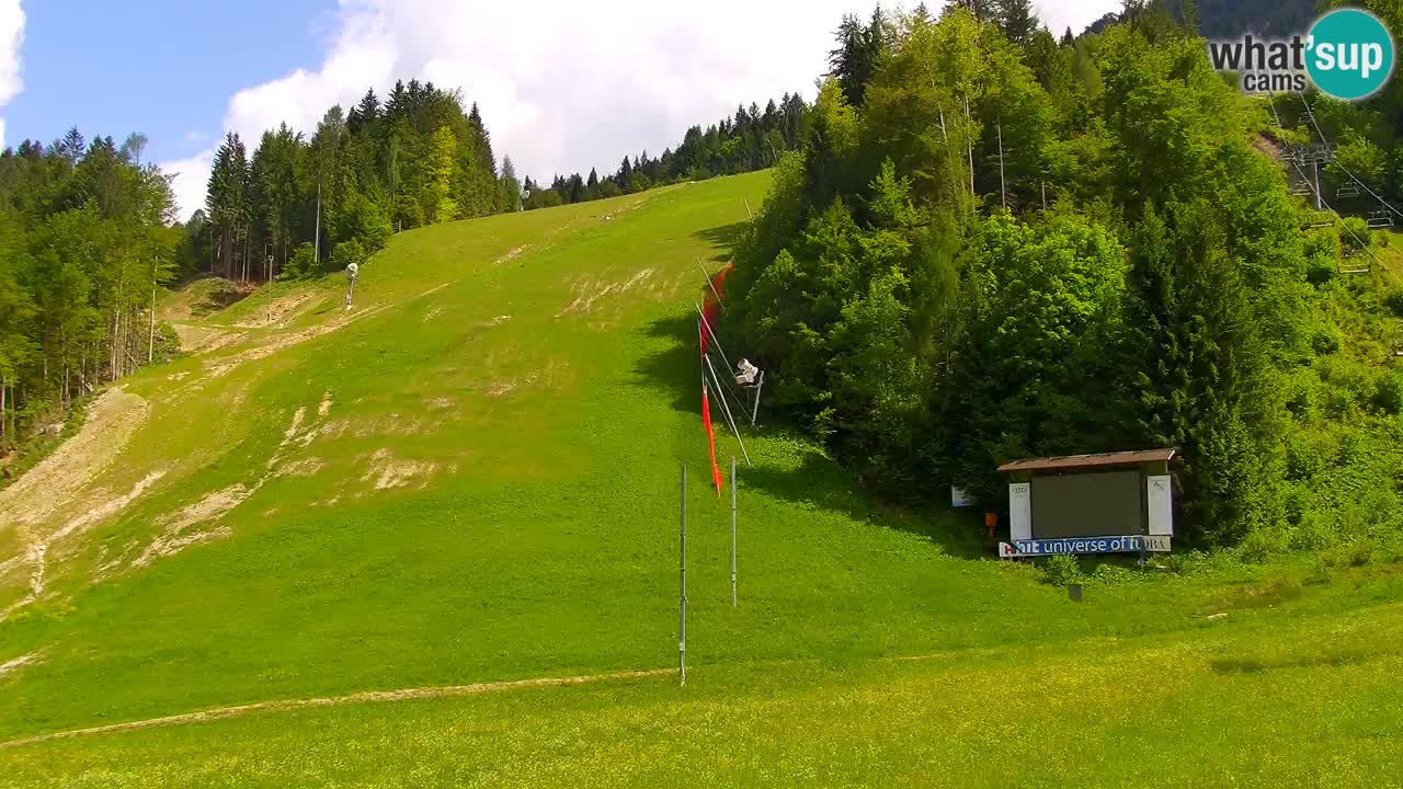 Podkoren – Partenza  slalom gigante – Kranjska Gora