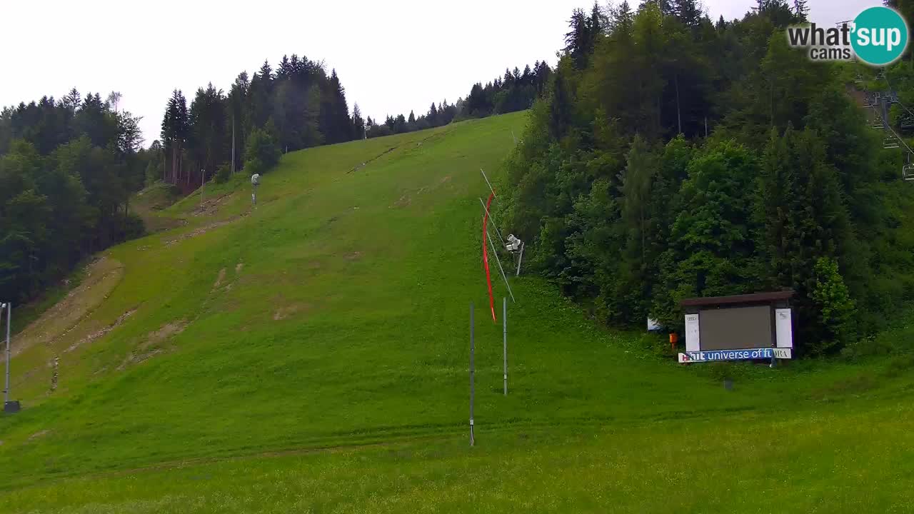 Podkoren / Kranjska Gora – Arrivee slalom géant