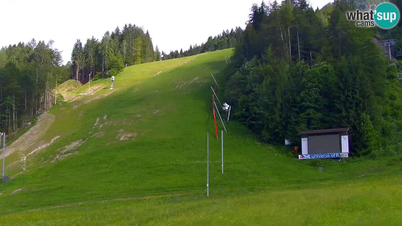 Podkoren – Start Slalom gigante