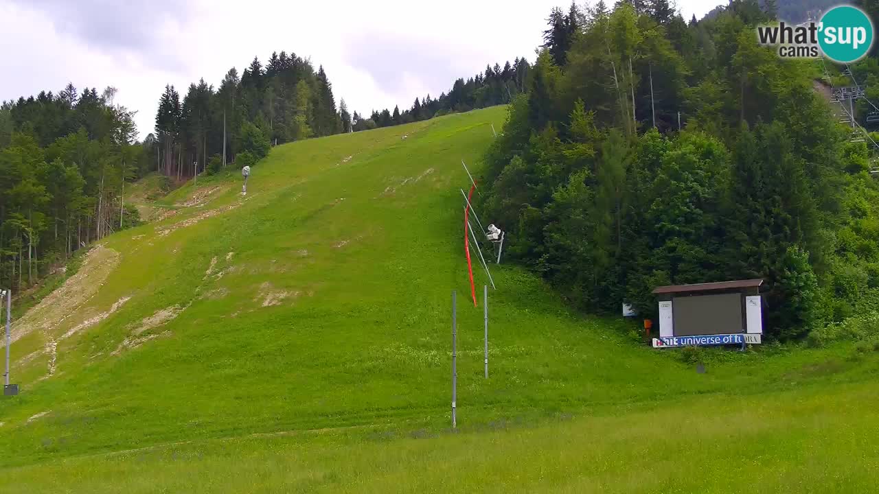 Podkoren – Start veleslaloma svjetskog kupa – Kranjska Gora