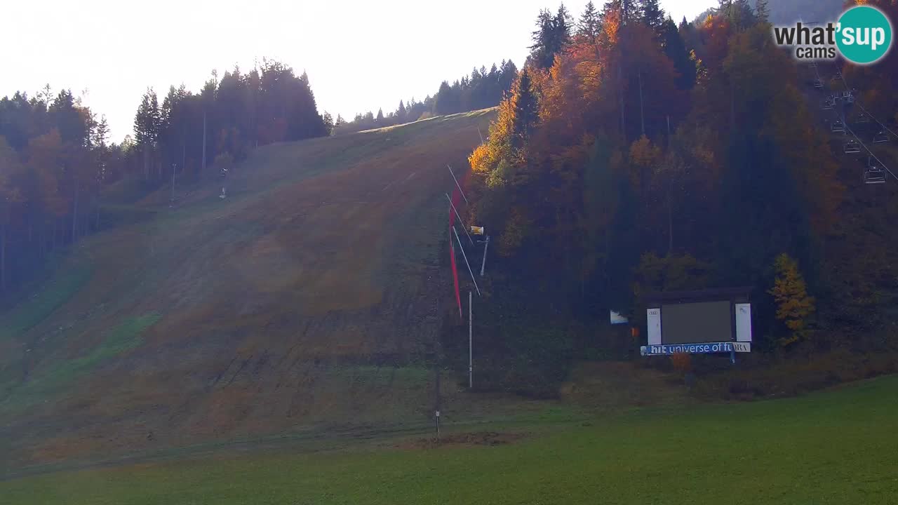 Podkoren / Kranjska Gora – Arrivo slalom gigante