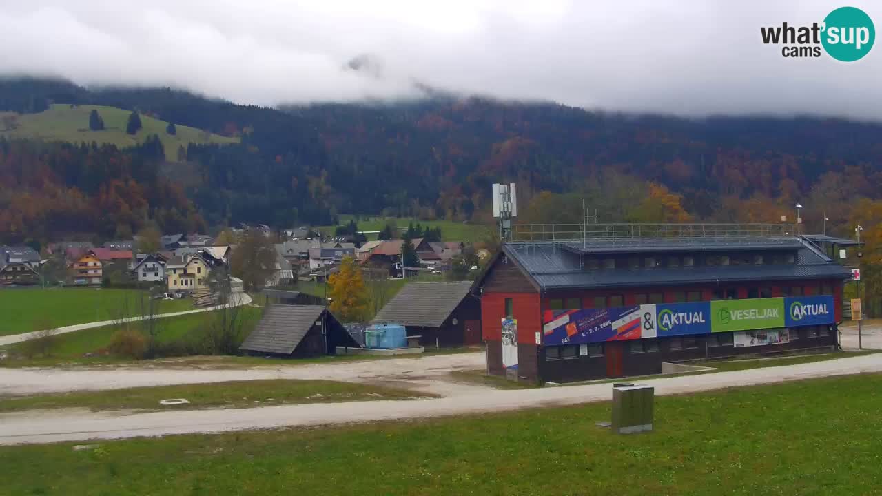 Podkoren / Kranjska Gora – Arrivo slalom gigante