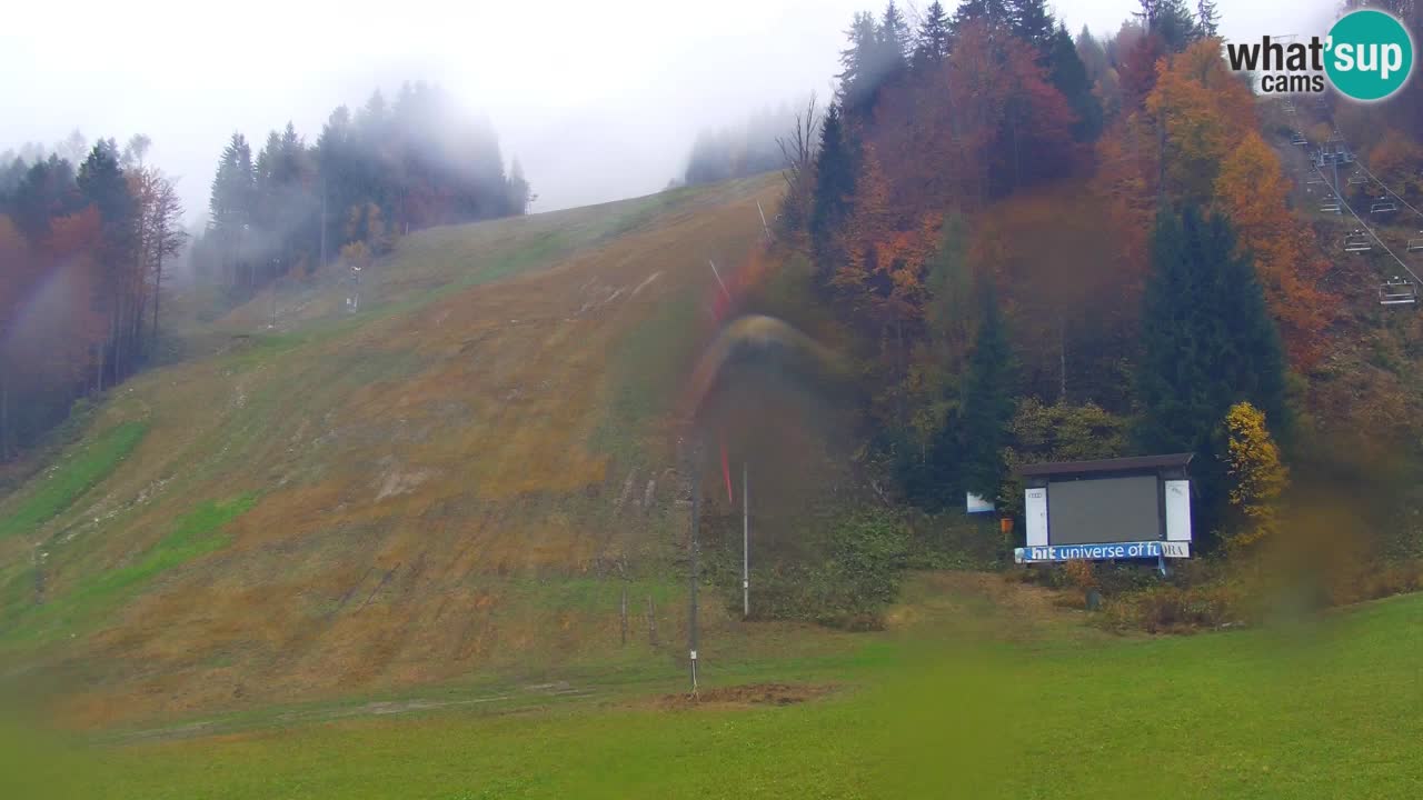 Podkoren / Kranjska Gora – Ziel Riesenslalom