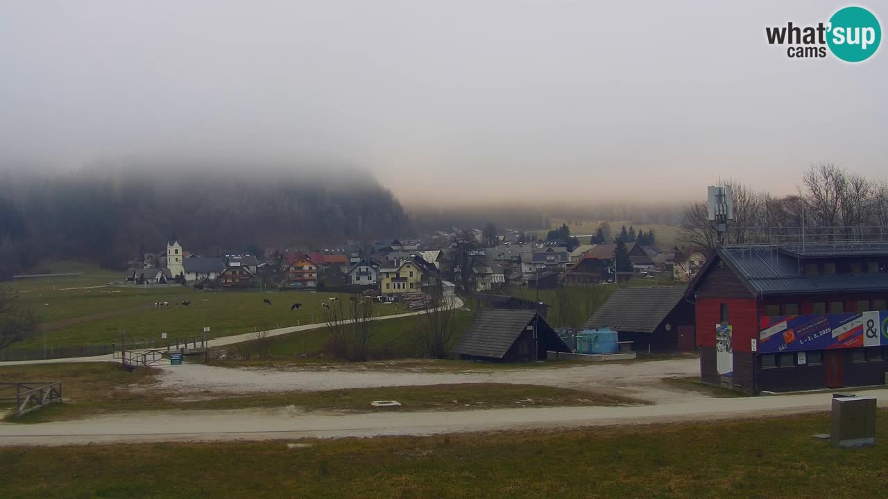 Podkoren / Kranjska Gora – Cilj veleslaloma svjetskog kupa