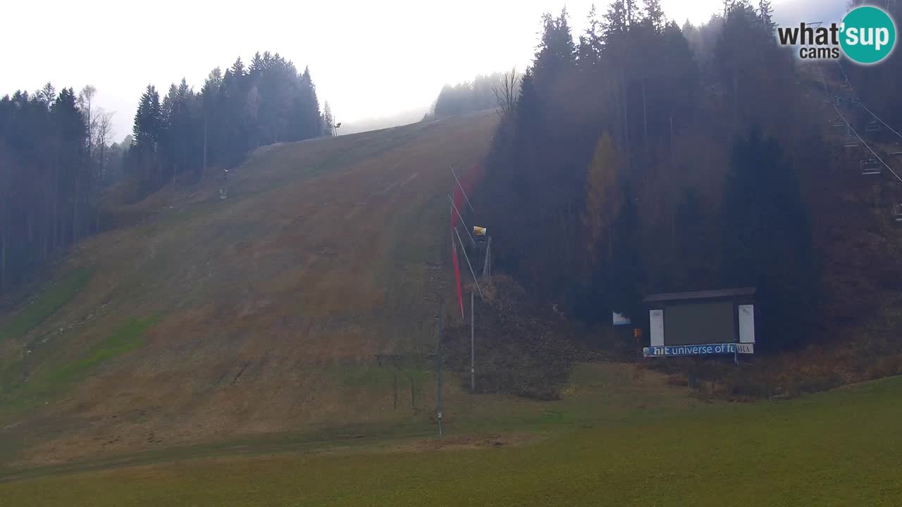 Podkoren / Kranjska Gora – Arrivo slalom gigante