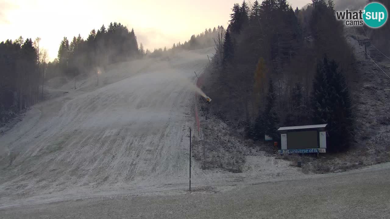 Podkoren / Kranjska Gora –  Meta Slalom gigante