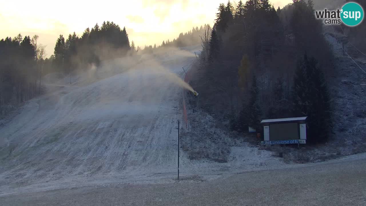 Podkoren / Kranjska Gora –  Meta Slalom gigante