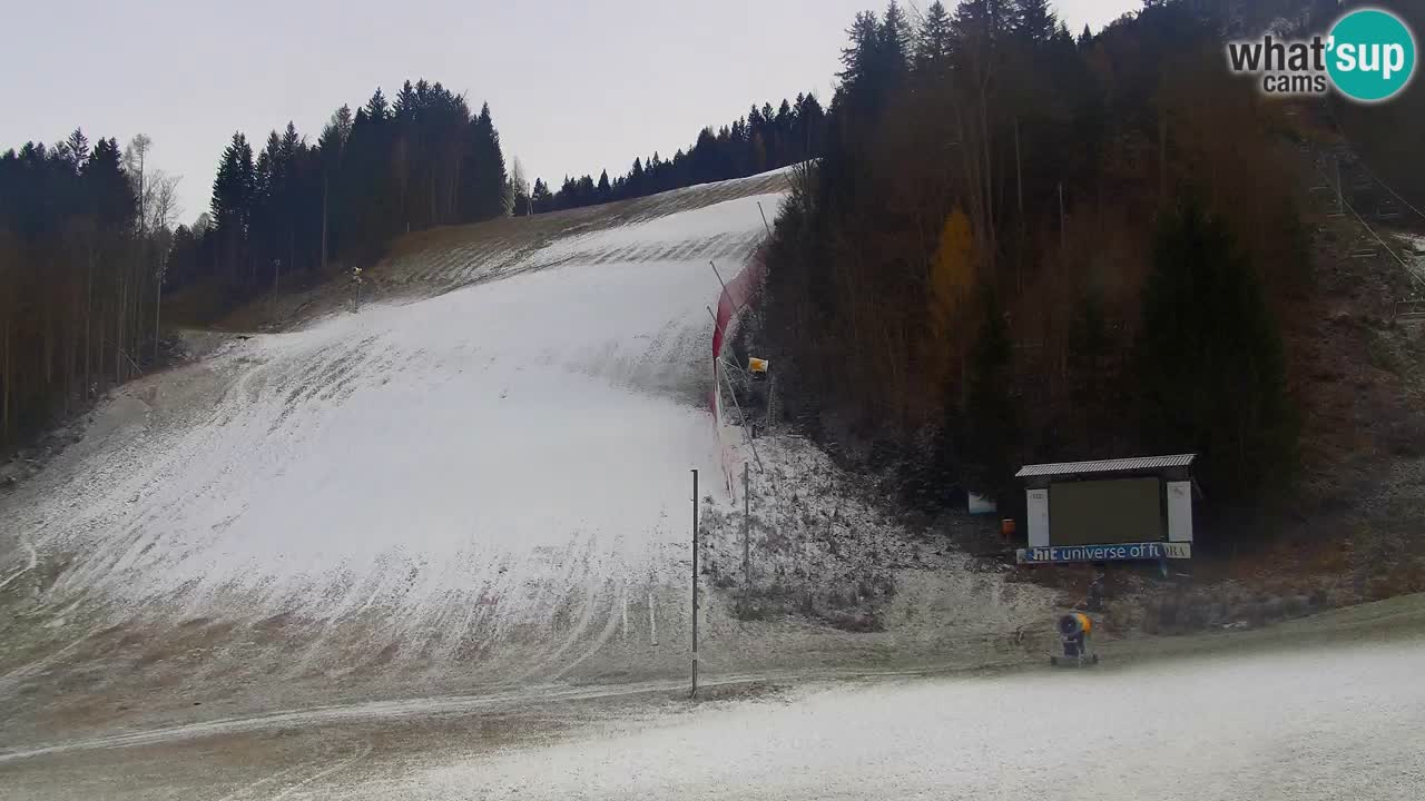 Podkoren / Kranjska Gora – Ziel Riesenslalom