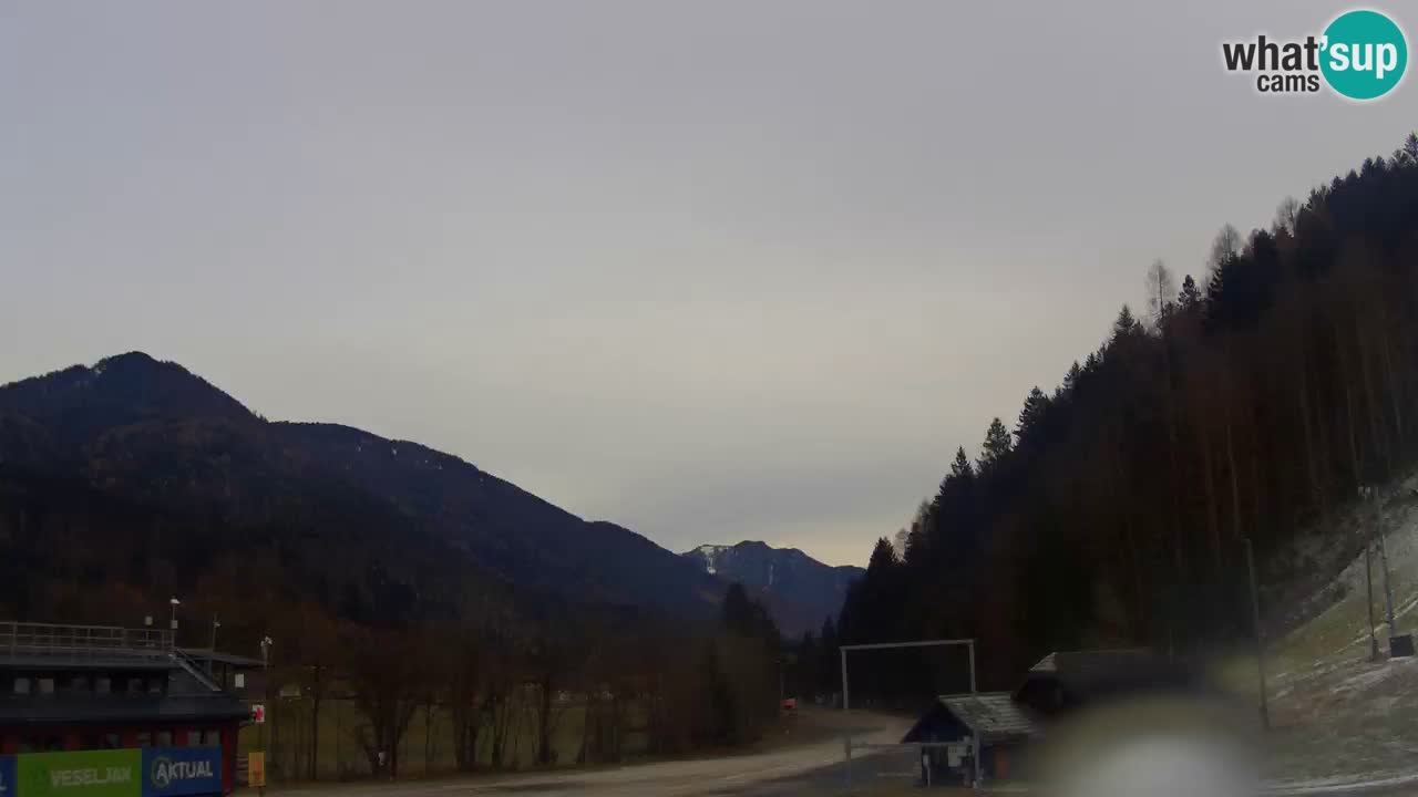 Podkoren / Kranjska Gora – Cilj veleslaloma svjetskog kupa