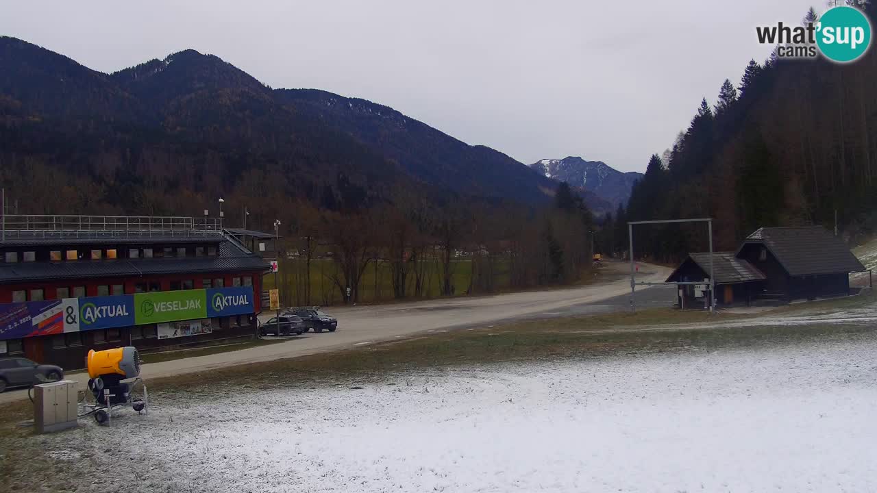 Podkoren / Kranjska Gora – Cilj veleslaloma svjetskog kupa