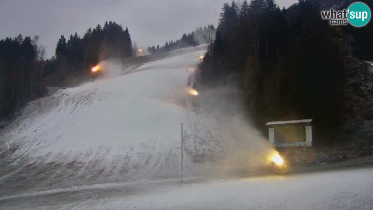 Podkoren / Kranjska Gora – Arrivo slalom gigante