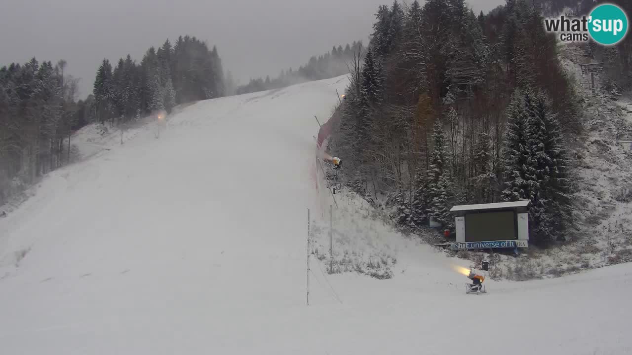 Podkoren / Kranjska Gora – Arrivo slalom gigante