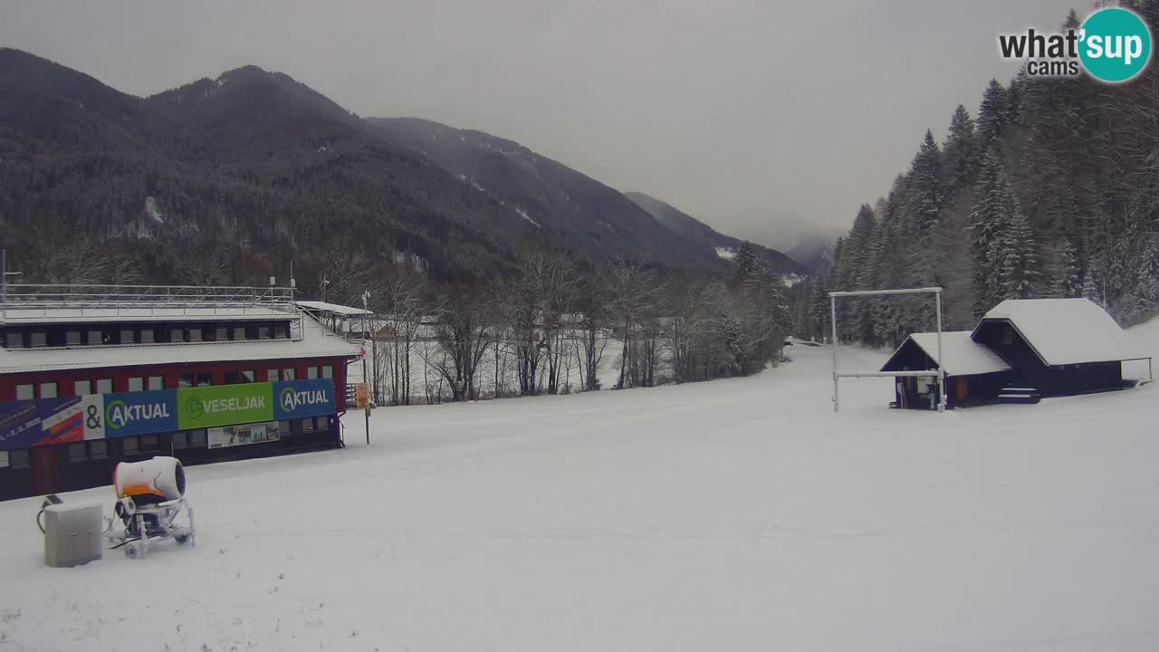 Podkoren / Kranjska Gora – Arrivo slalom gigante