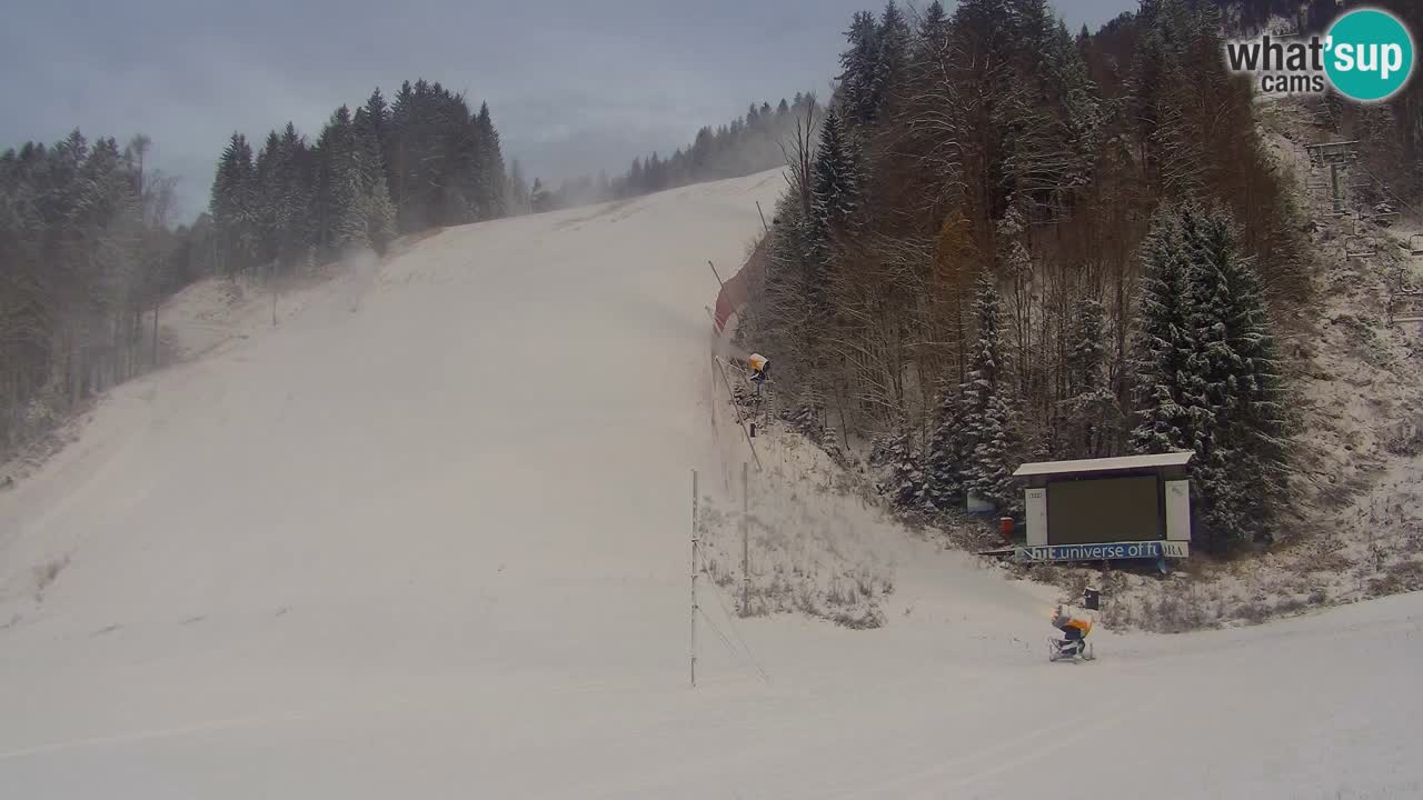 Podkoren / Kranjska Gora –  Meta Slalom gigante