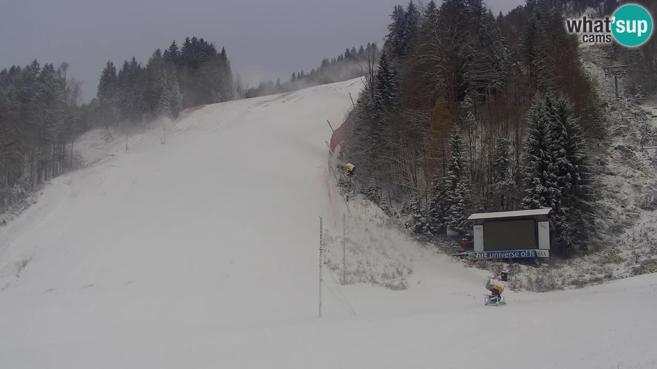 Podkoren / Kranjska Gora – Ziel Riesenslalom