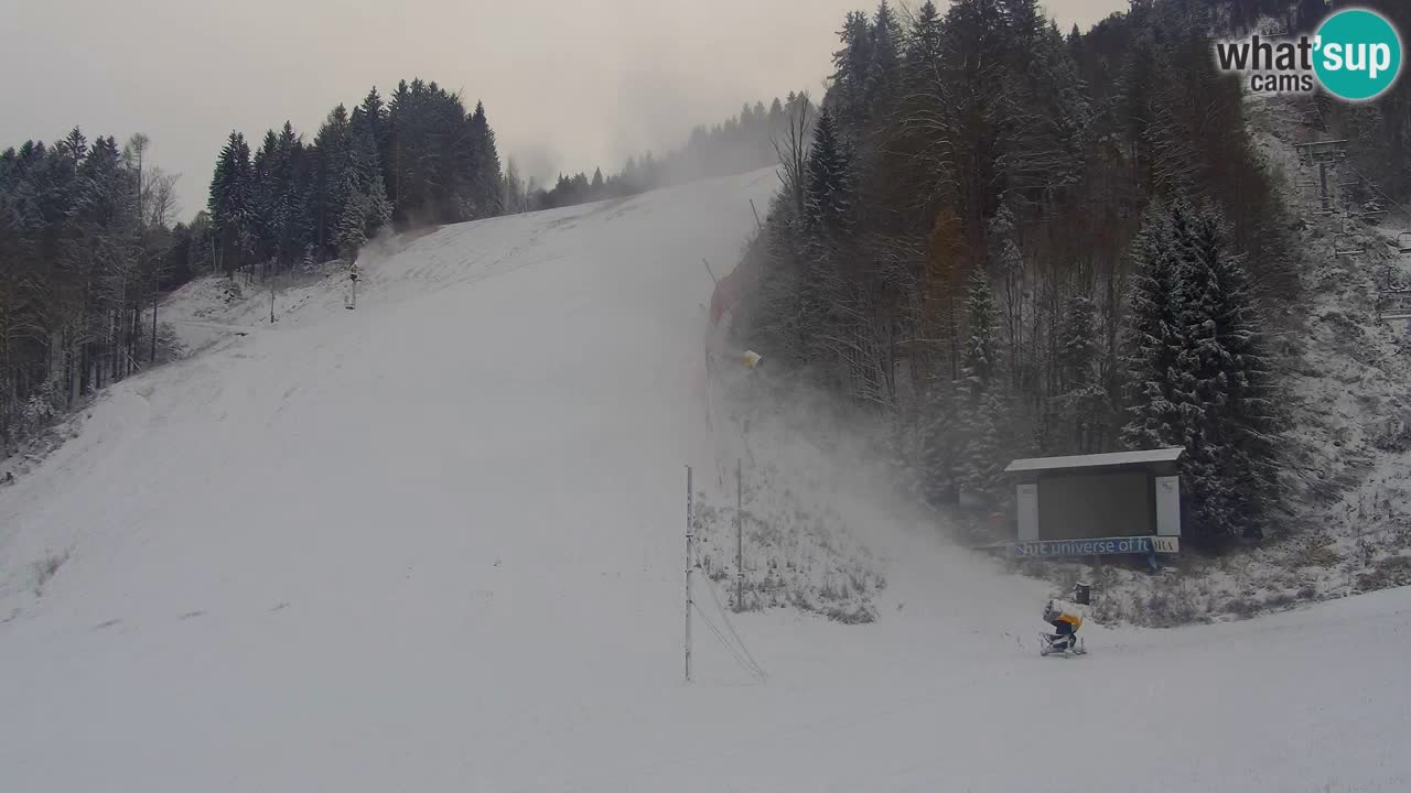 Podkoren / Kranjska Gora –  Meta Slalom gigante