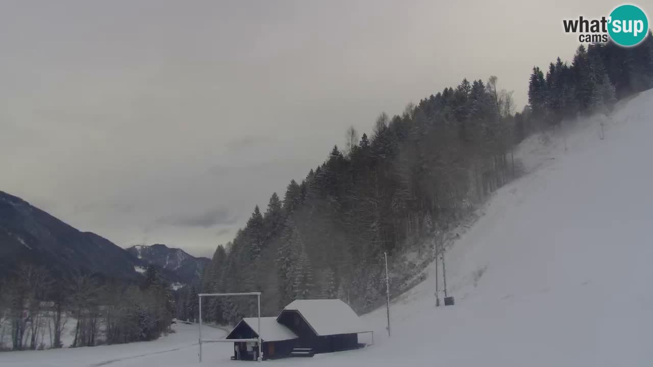 Podkoren / Kranjska Gora – Cilj veleslaloma svjetskog kupa