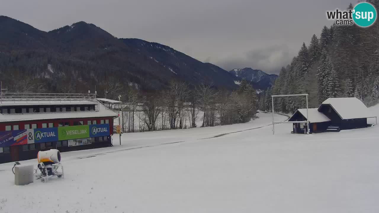 Podkoren / Kranjska Gora – Arrivo slalom gigante