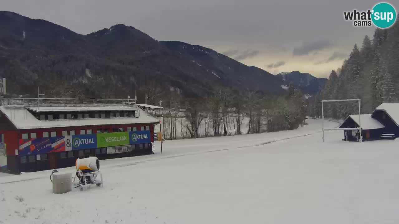 Podkoren / Kranjska Gora –  Meta Slalom gigante