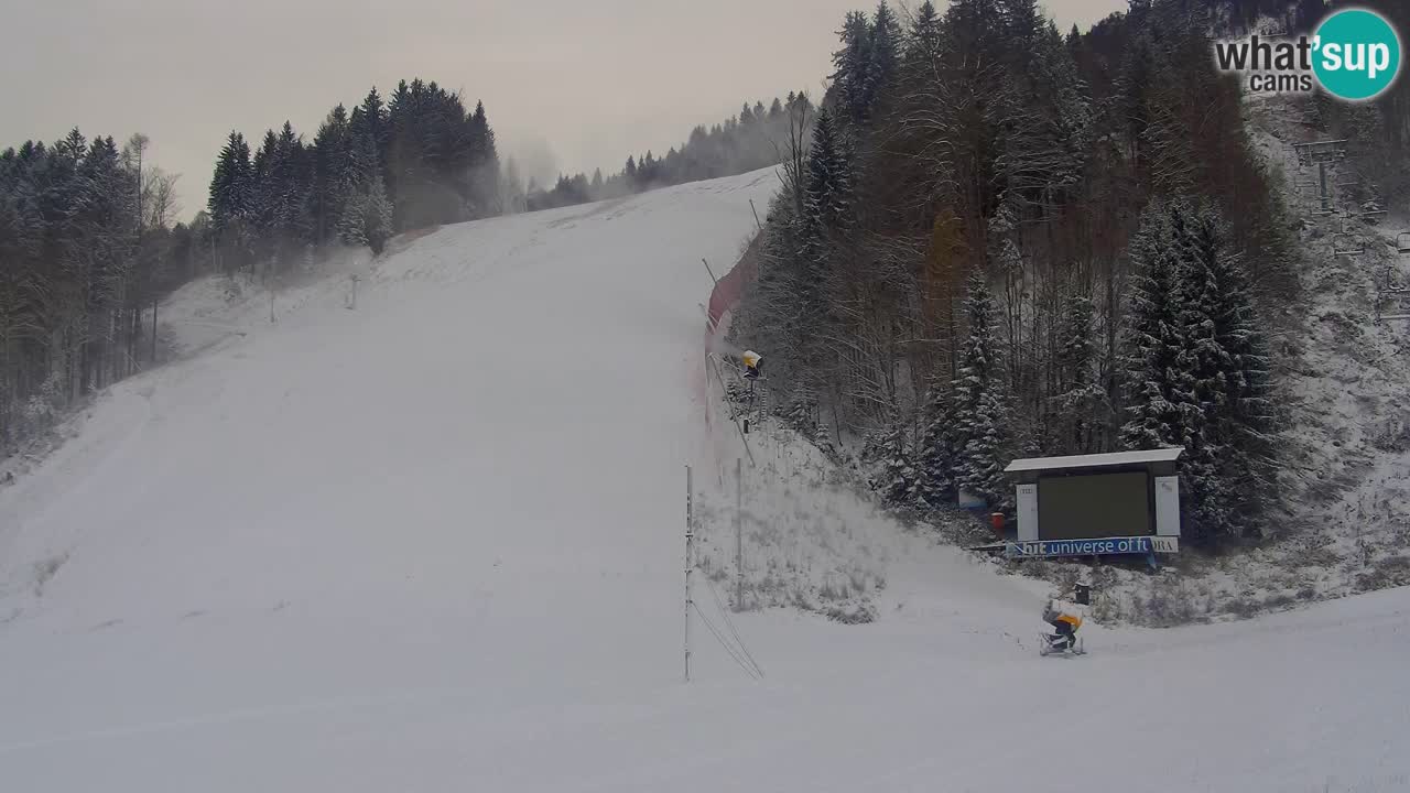 Podkoren / Kranjska Gora – Ziel Riesenslalom