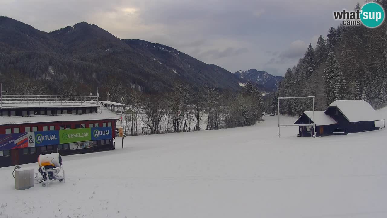 Podkoren / Kranjska Gora – Arrivo slalom gigante