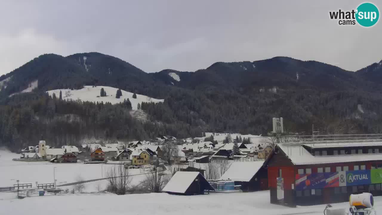 Podkoren / Kranjska Gora – Arrivo slalom gigante