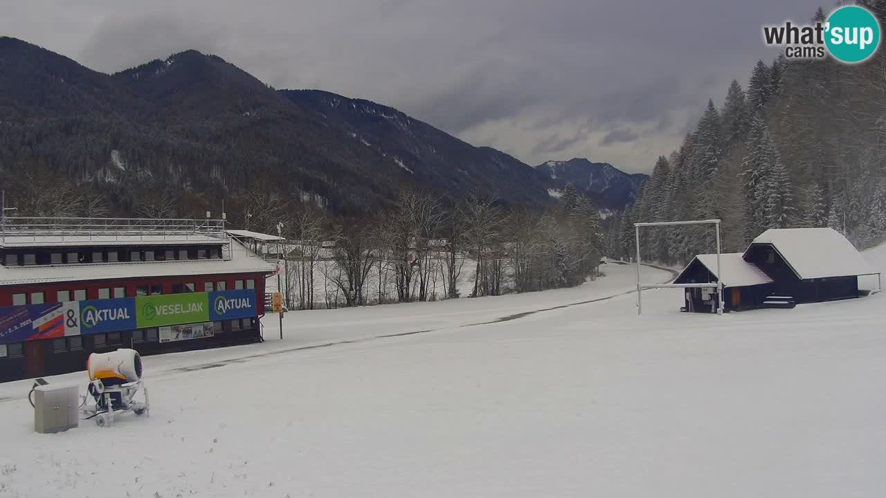 Podkoren / Kranjska Gora – Ziel Riesenslalom