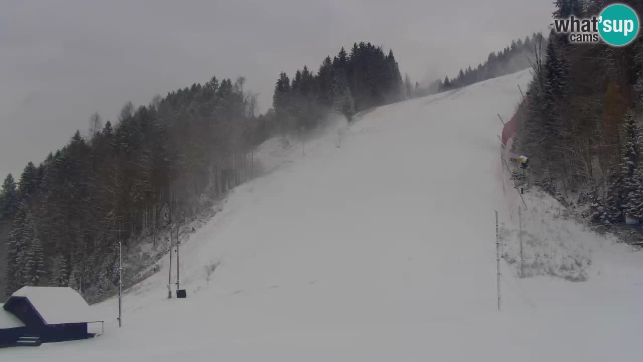 Podkoren / Kranjska Gora –  Meta Slalom gigante