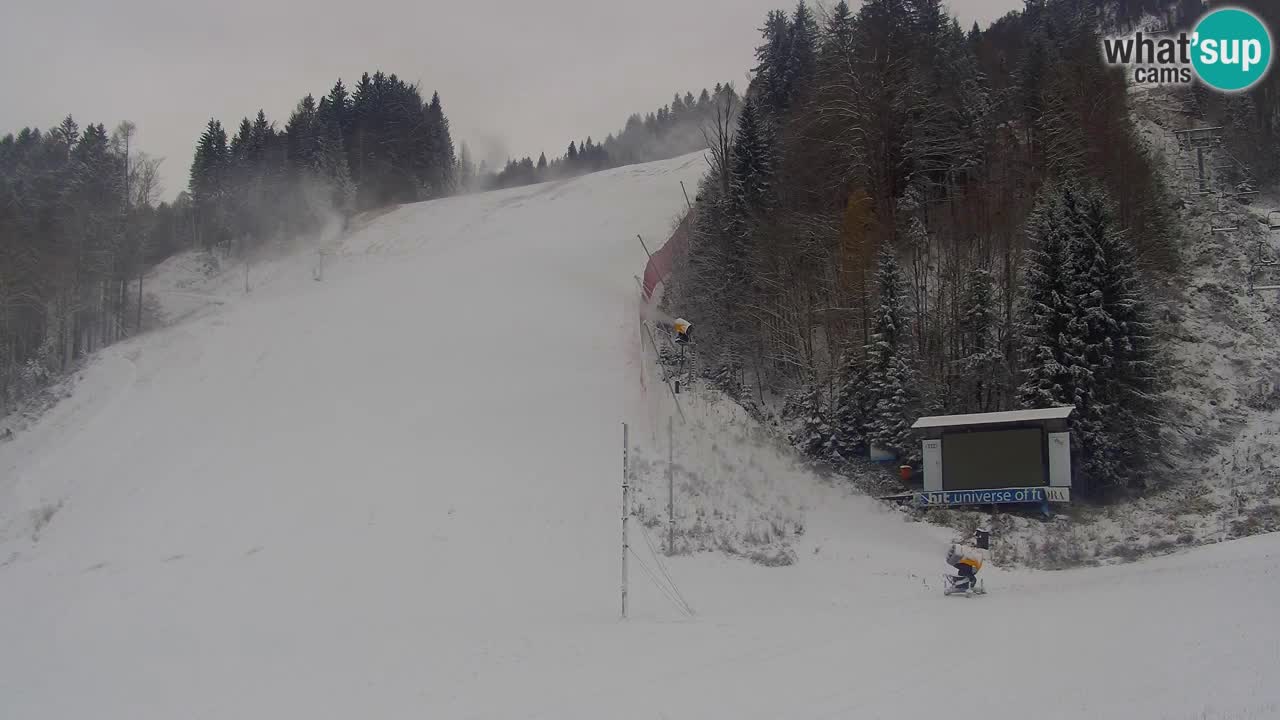 PODKOREN Kamera | Smučišče Podkoren – Kranjska Gora v ŽIVO