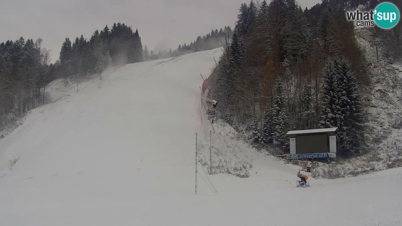 Podkoren / Kranjska Gora – Ziel Riesenslalom