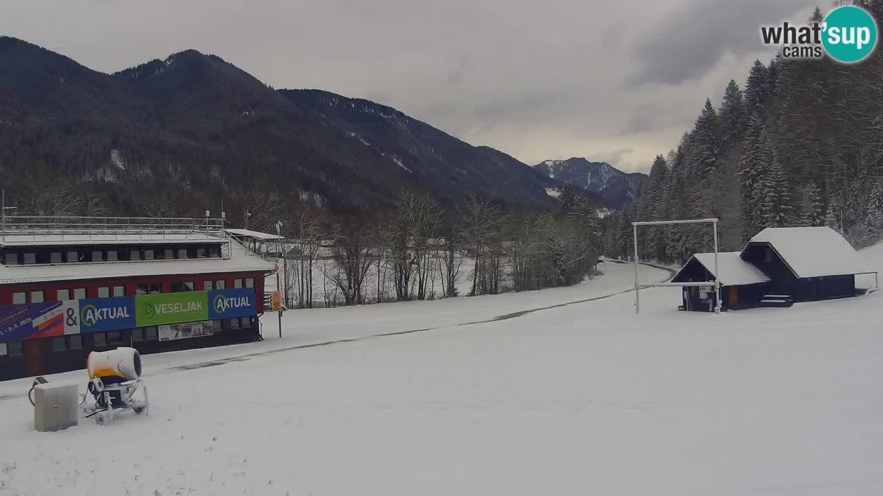 Podkoren / Kranjska Gora – Arrivo slalom gigante