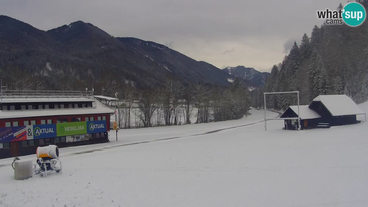 Podkoren / Kranjska Gora –  Meta Slalom gigante