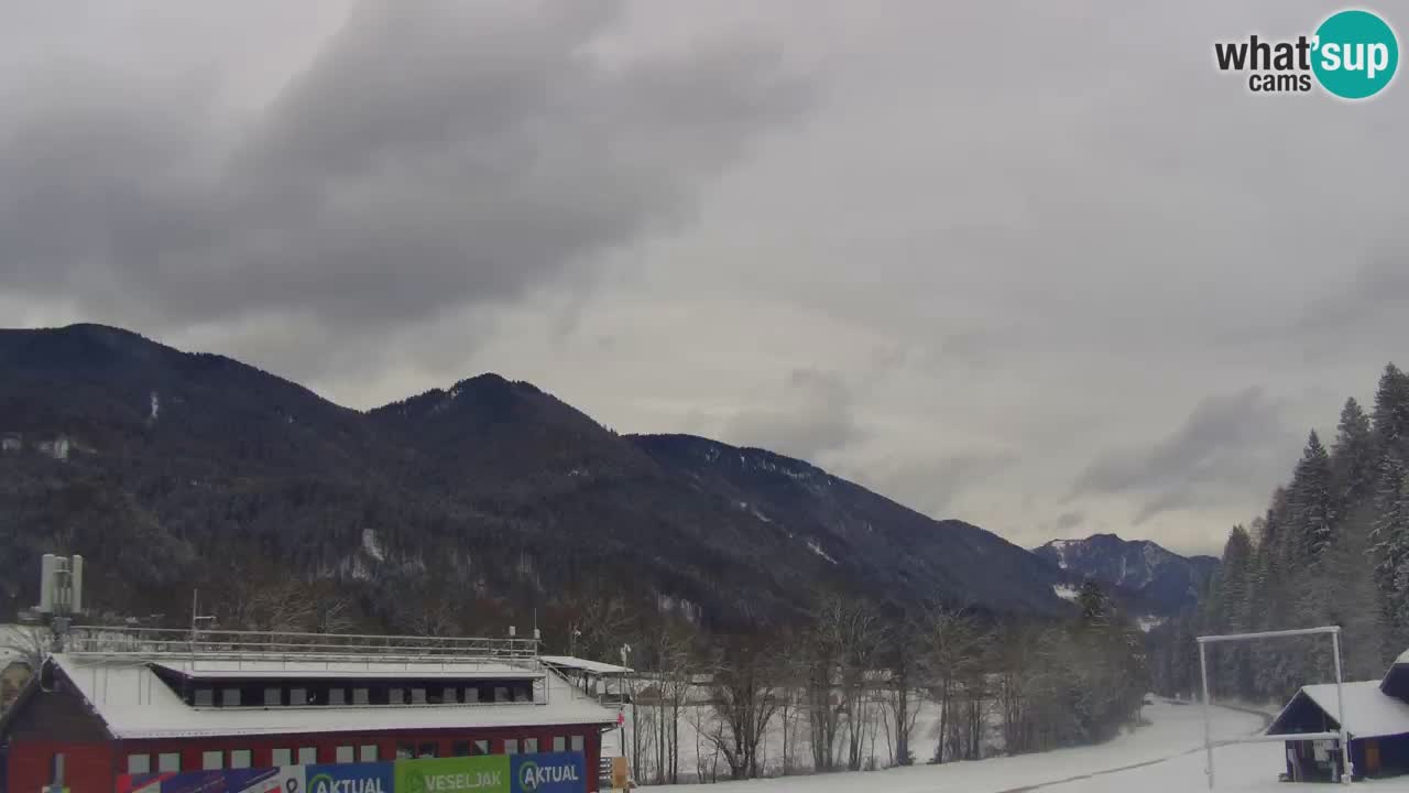 Podkoren / Kranjska Gora – Ziel Riesenslalom