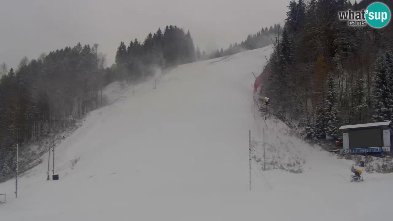 Podkoren / Kranjska Gora – Ziel Riesenslalom