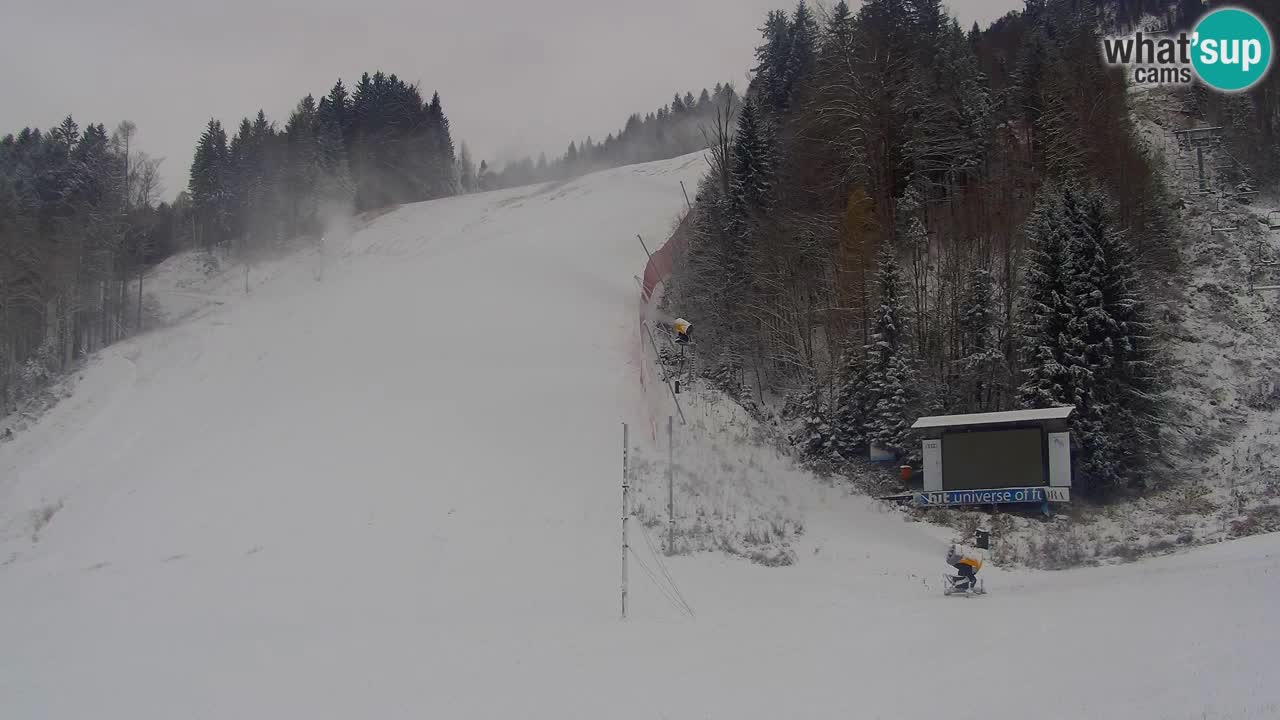 Podkoren / Kranjska Gora – Arrivo slalom gigante