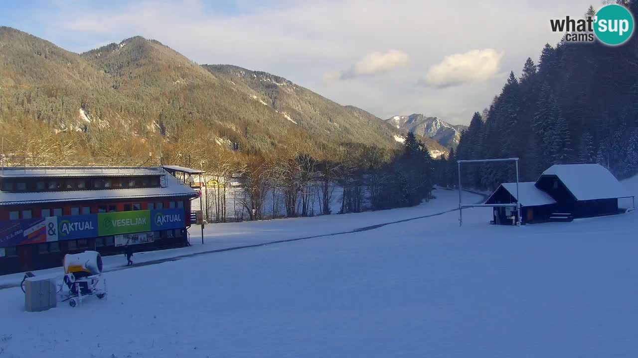 Podkoren / Kranjska Gora – Arrivo slalom gigante